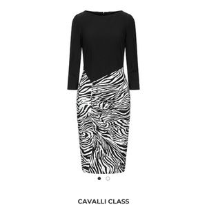 Cavalli Class Zebra Dress Punto Roma Print Zebra C